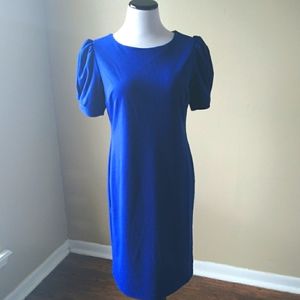 Royal Blue Short Sleeve Lined Midi Dress by Cato No Slits Size 16W NWOT